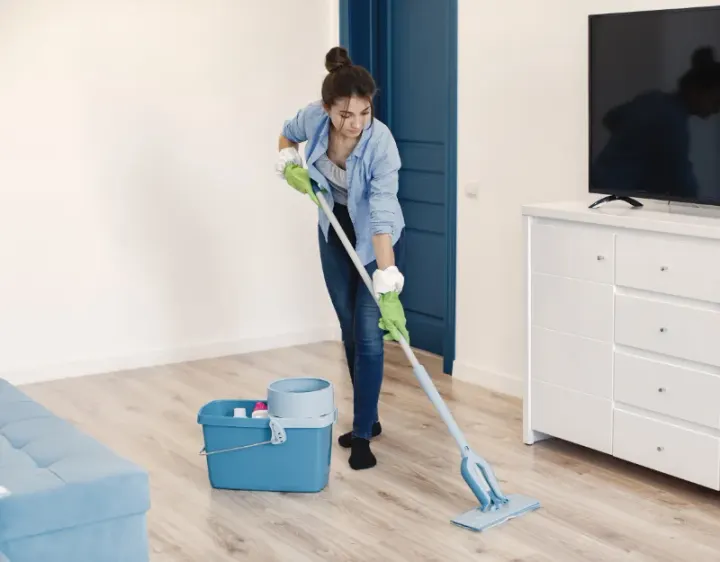 Femme de ménage Vivy